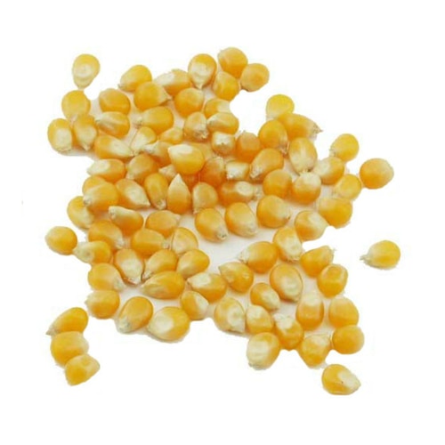 Popcorn Kernels  Kernel Kullman, LLC
